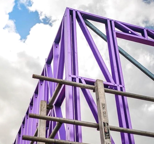 Thrive-Homes-Purple-Frames